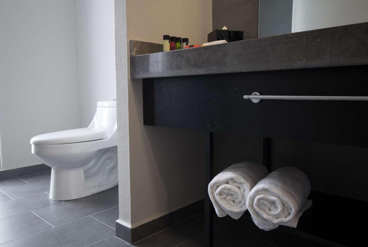 Tryp By Wyndham San Luis Potosi Hotel & Suites Εξωτερικό φωτογραφία